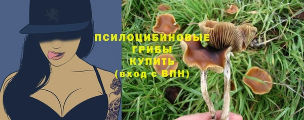 PSILOCYBIN Балахна